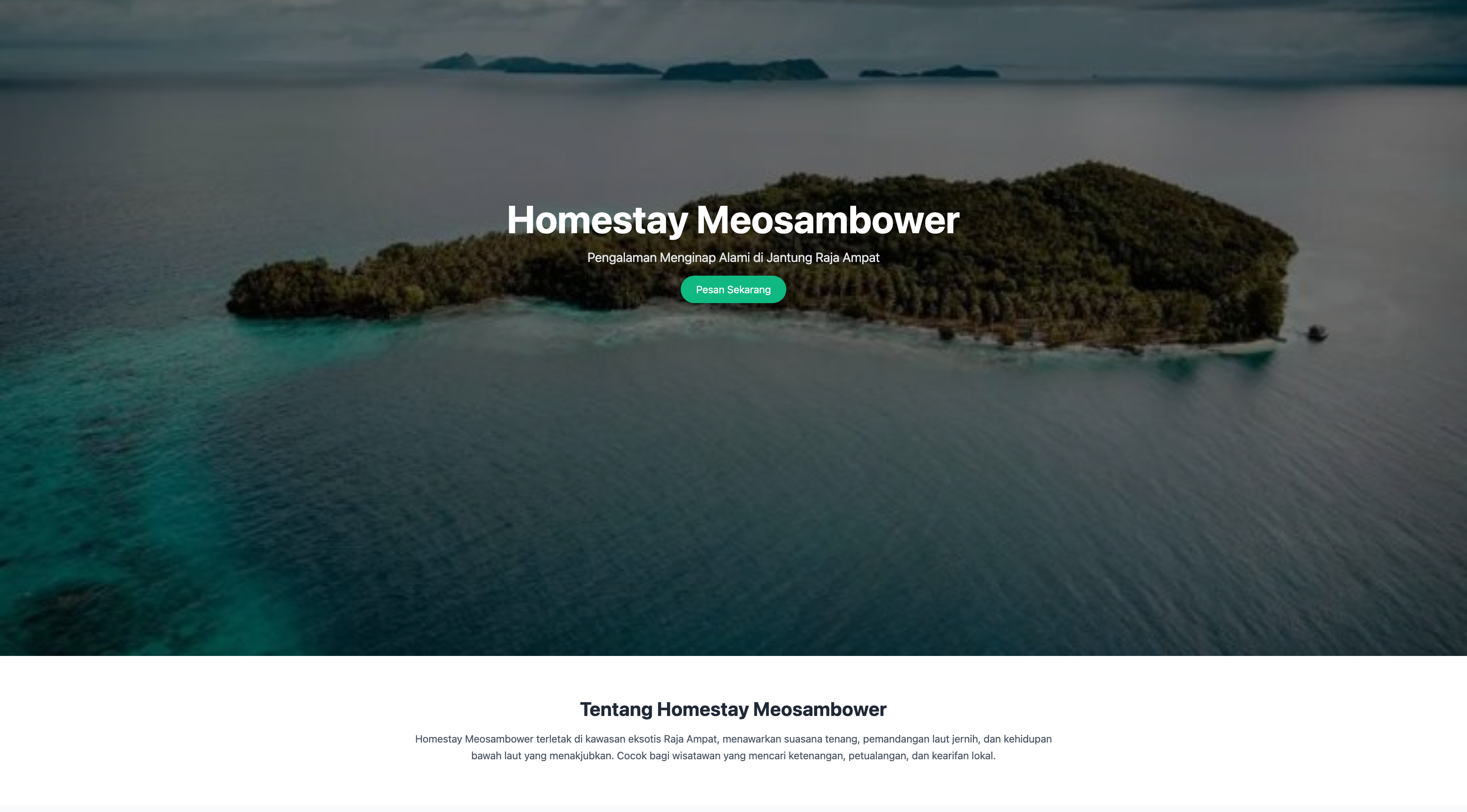 Preview Website Meosambower